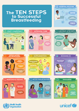 Ten Steps to Successful Breastfeeding Poster